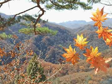 高铁坐过站先不要出站，高铁坐过站，出站前请三思